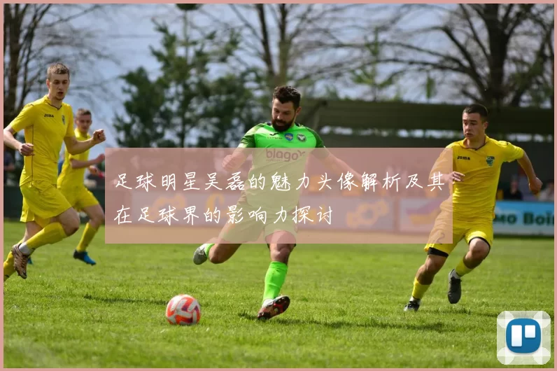 足球明星吴磊的魅力头像解析及其在足球界的影响力探讨