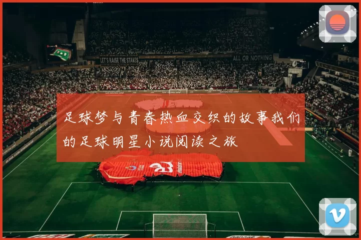 足球梦与青春热血交织的故事我们的足球明星小说阅读之旅